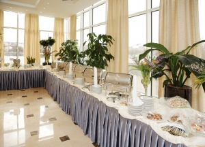 Skirting Buffetumrandung
