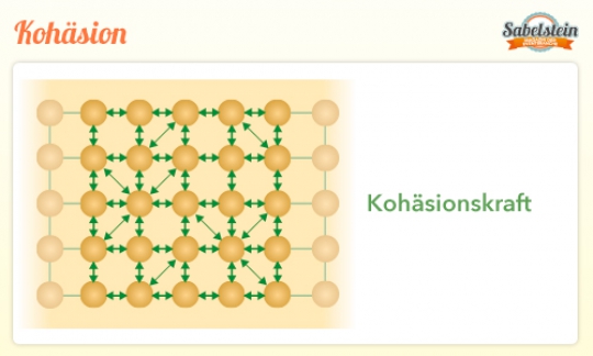 Der innere Zusammenhalt eines Klebers durch Kraft der Anziehung.